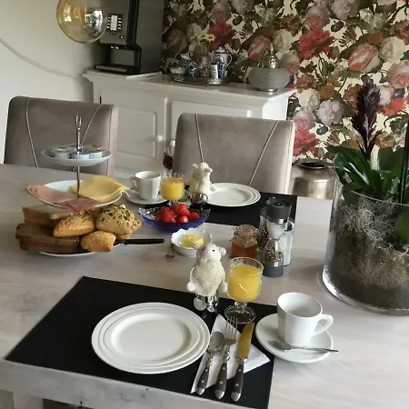 Ludana De Koog (Texel)